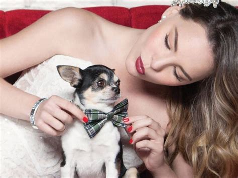 ¡El Chihuahua Encantado de Belinda! Un concerto per ricordare